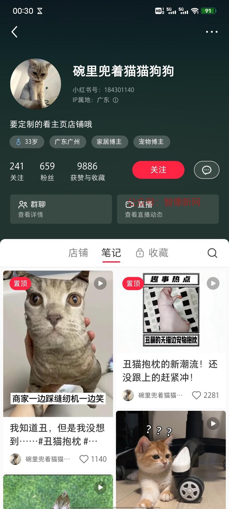 定制宠物丑抱枕，粉丝很…#情报-搞钱情报论坛-网创交流-智像新网